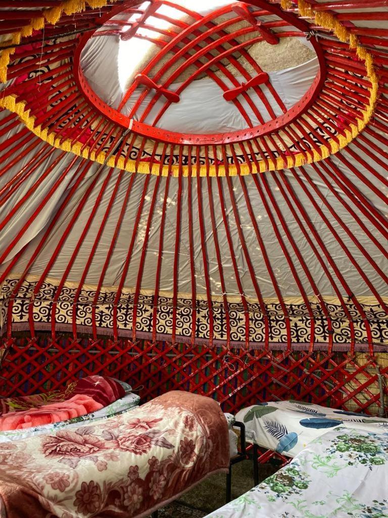 Zalkar Yurt Camp Hotel Song-Kul Exterior photo